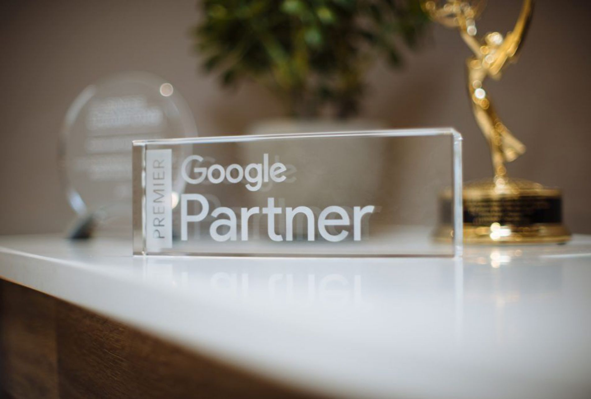 Google Partner Nedir